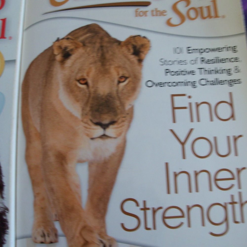 chicken soup for the soul book
